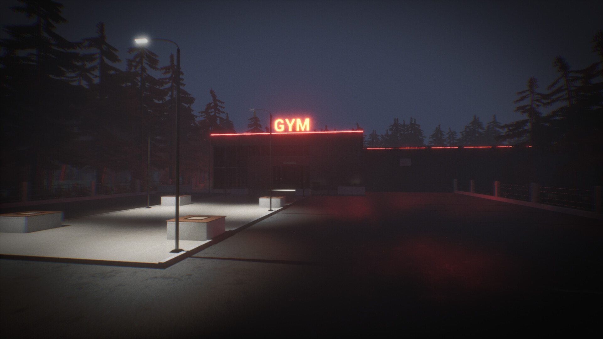 The Night Gym