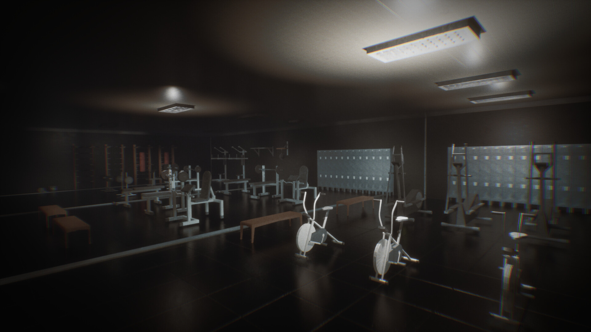 The Night Gym