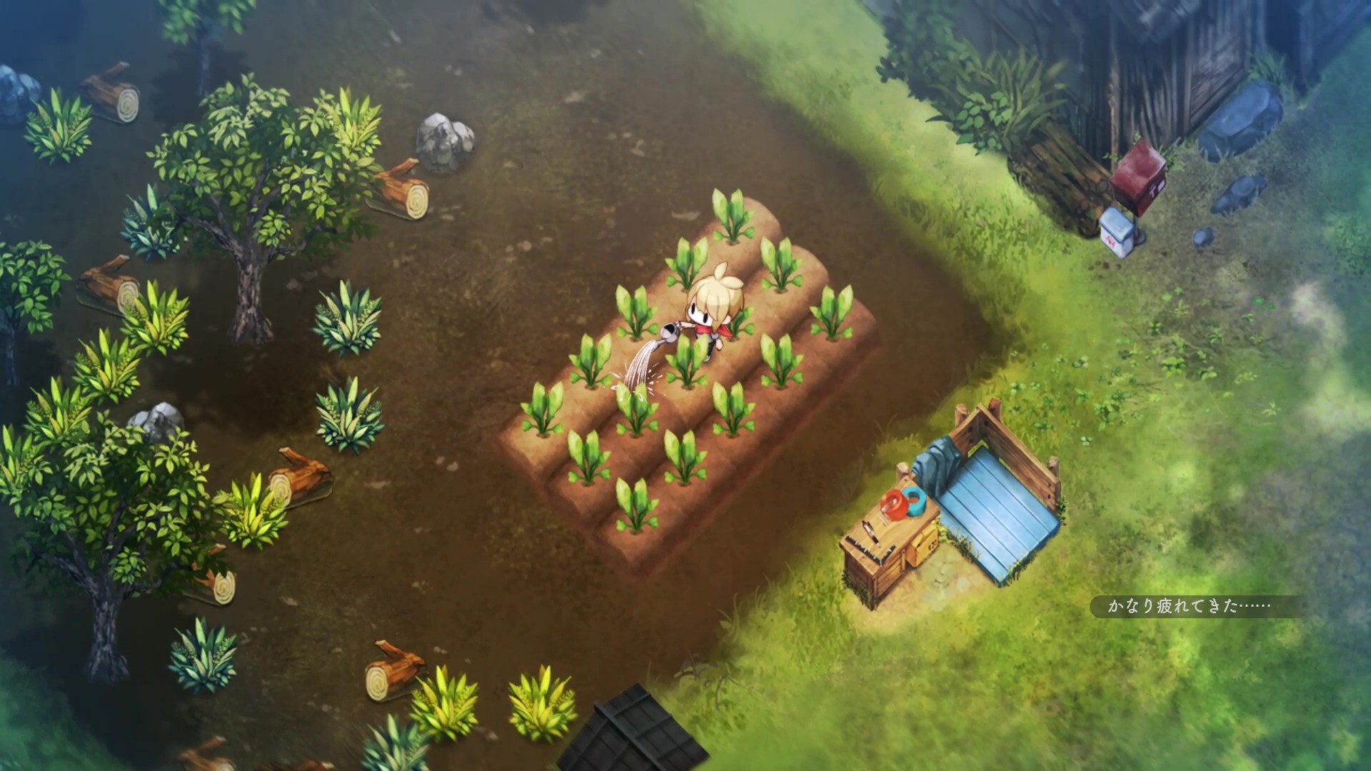 Village in the Shade