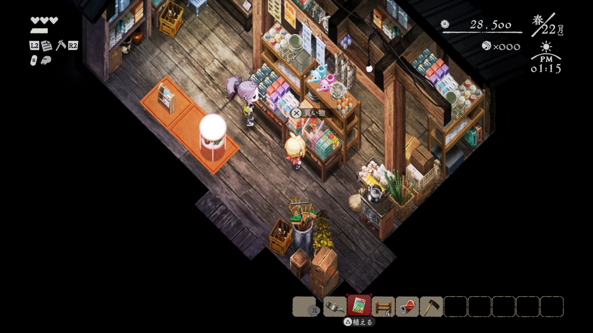 Village in the Shade