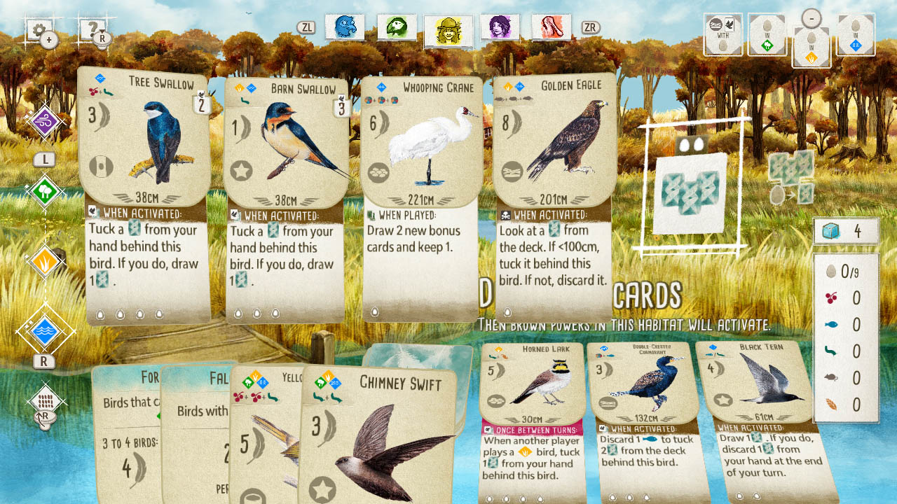 Birds and Cats