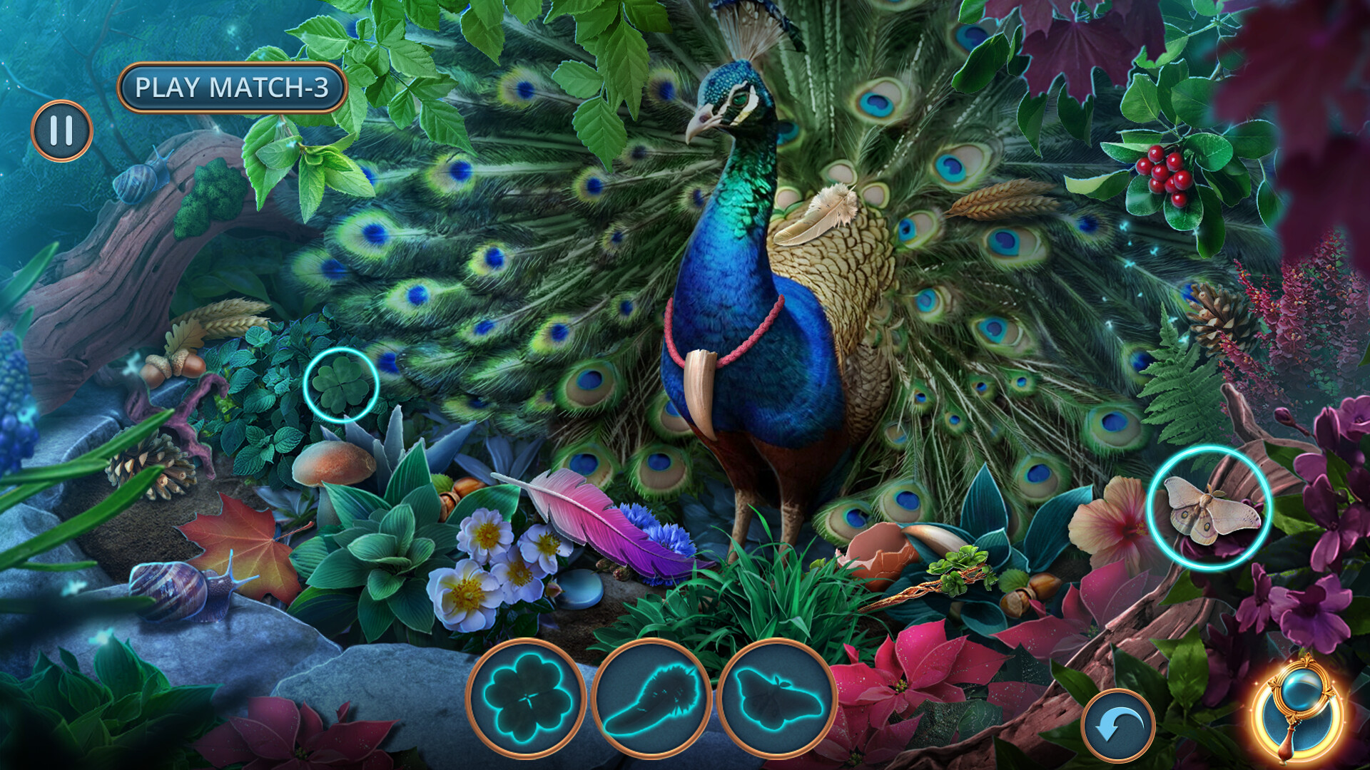 Enchanted Stories: Mystic Woods – Collector’s Edition