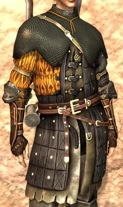 Dragon Age II: Rogue Item Pack