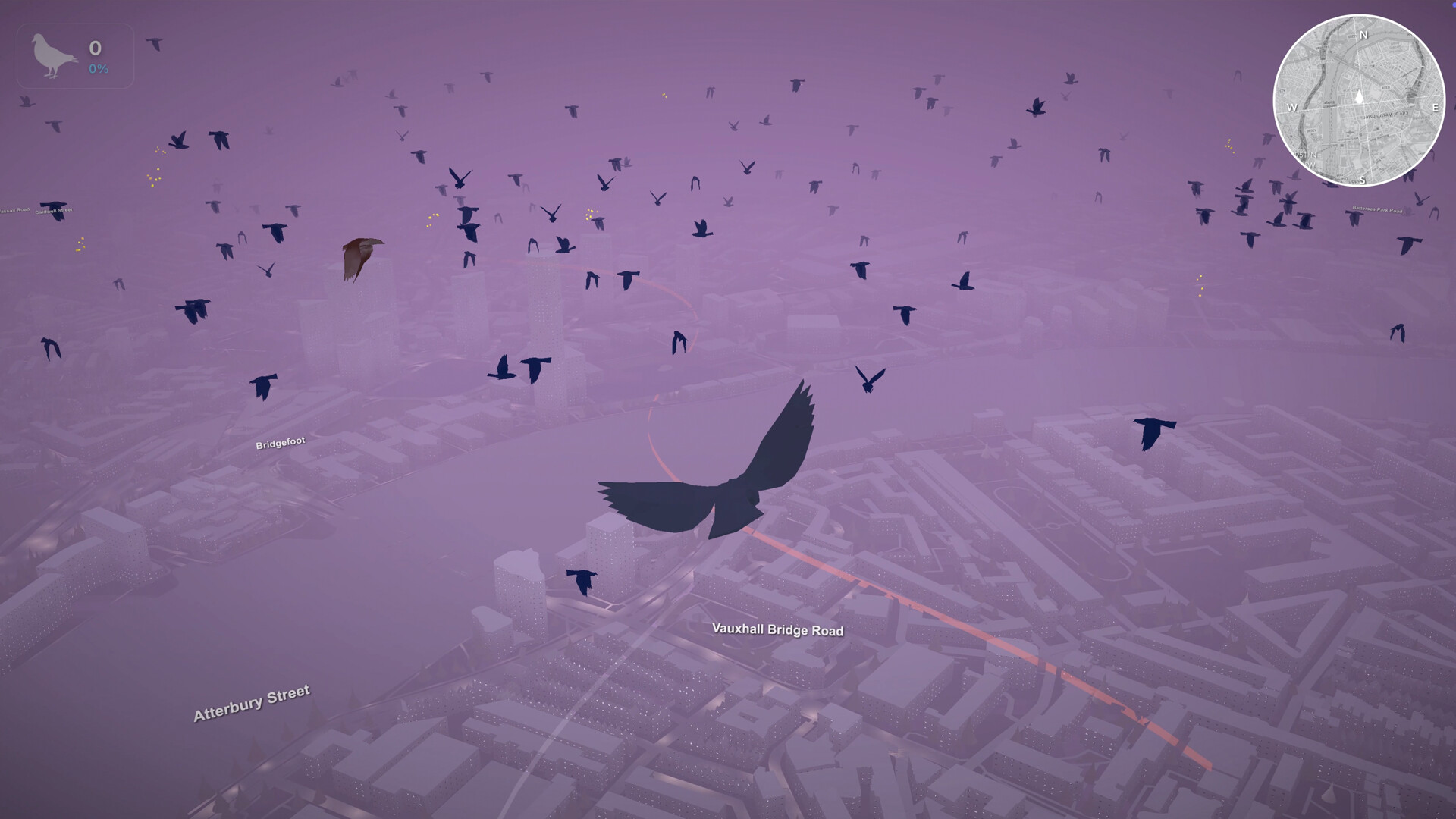 Pigeon: A Love Story