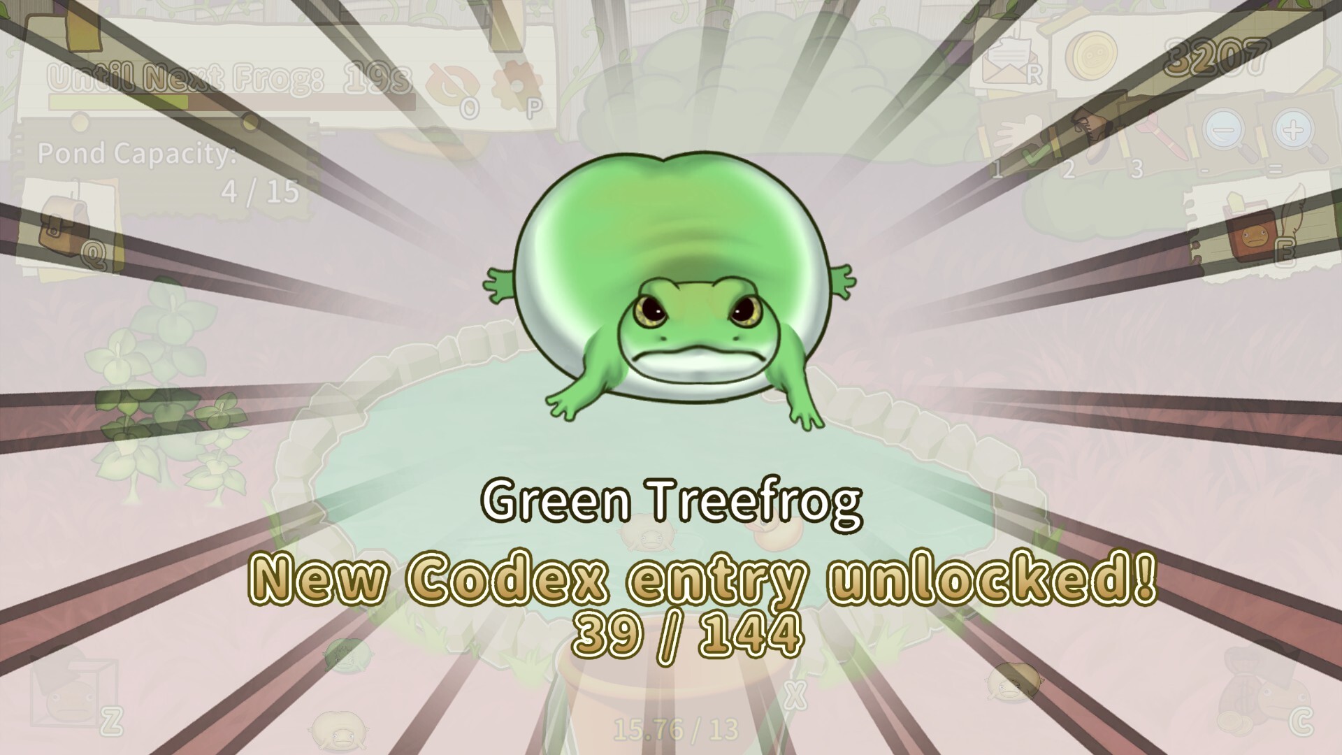 Plump! Dumb Frog Pond