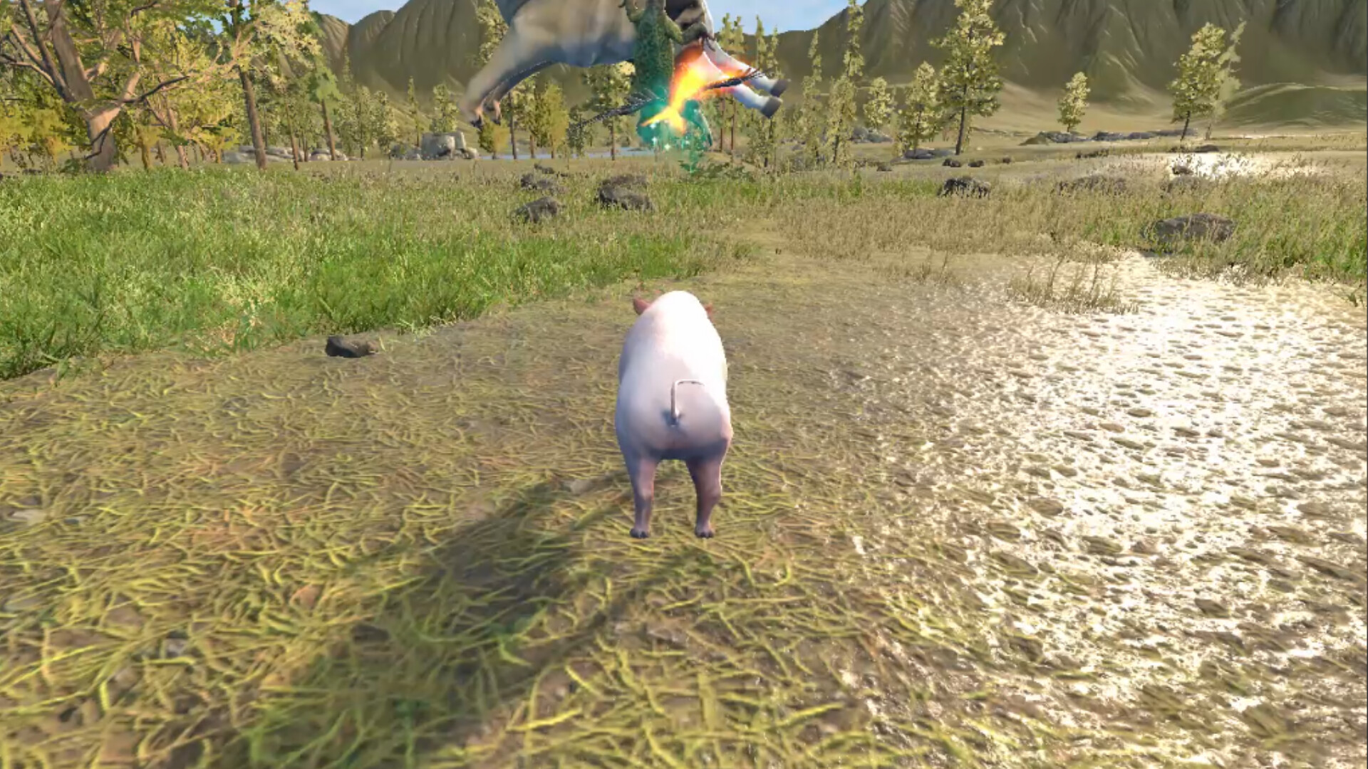 Hot Pig Jump!