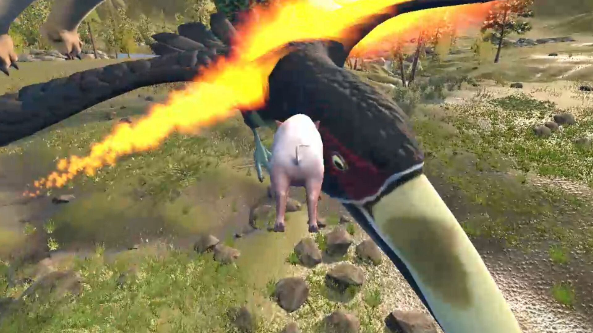 Hot Pig Jump!