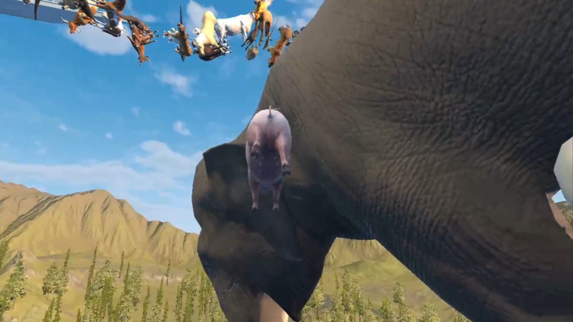 Hot Pig Jump!