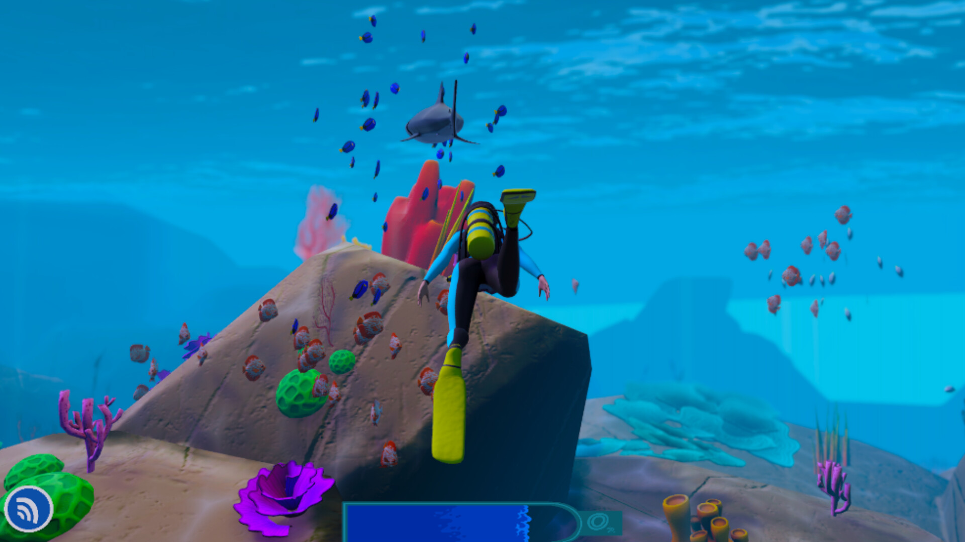 Wonders of the Deep