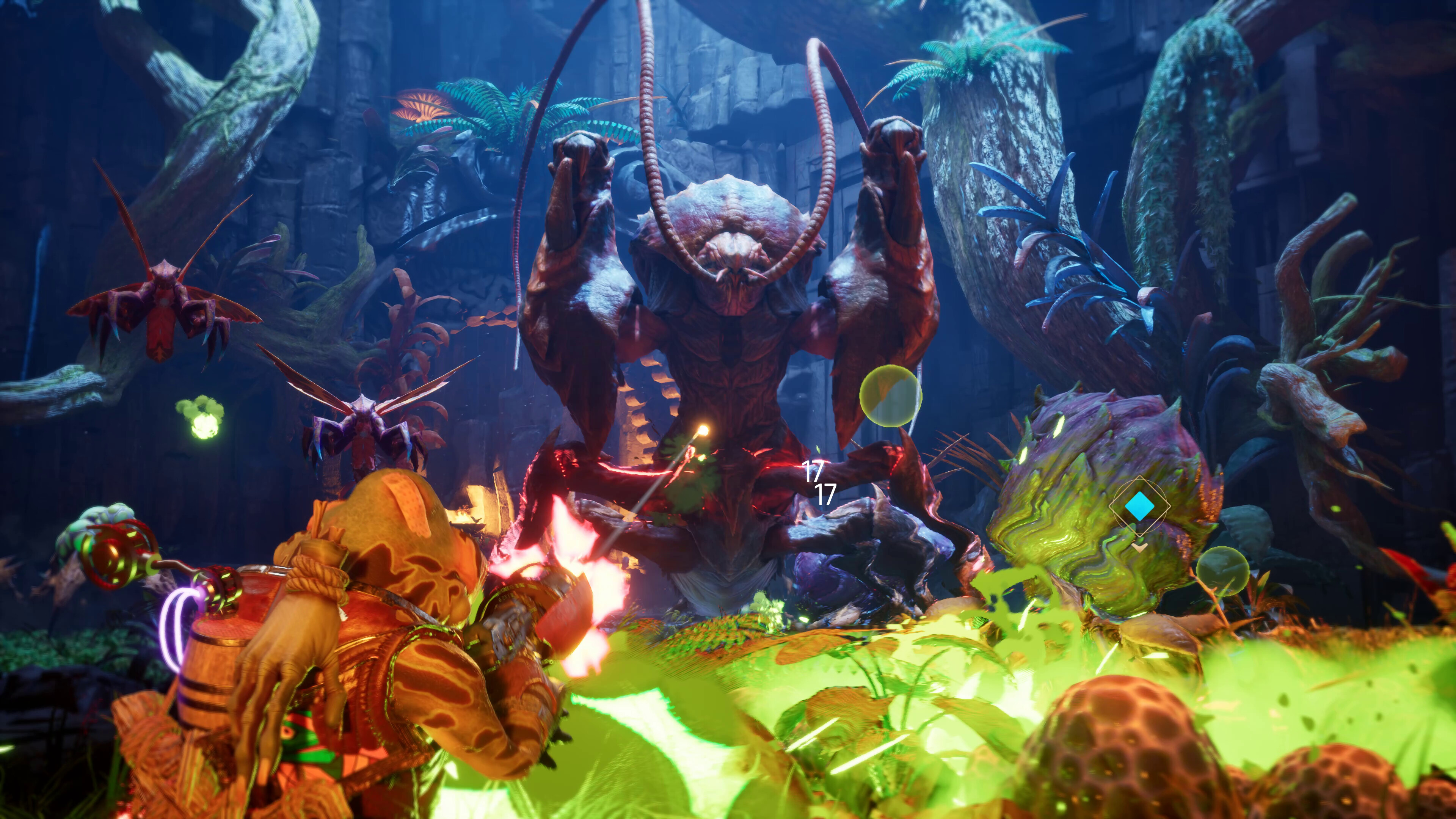 Gang of Frogs