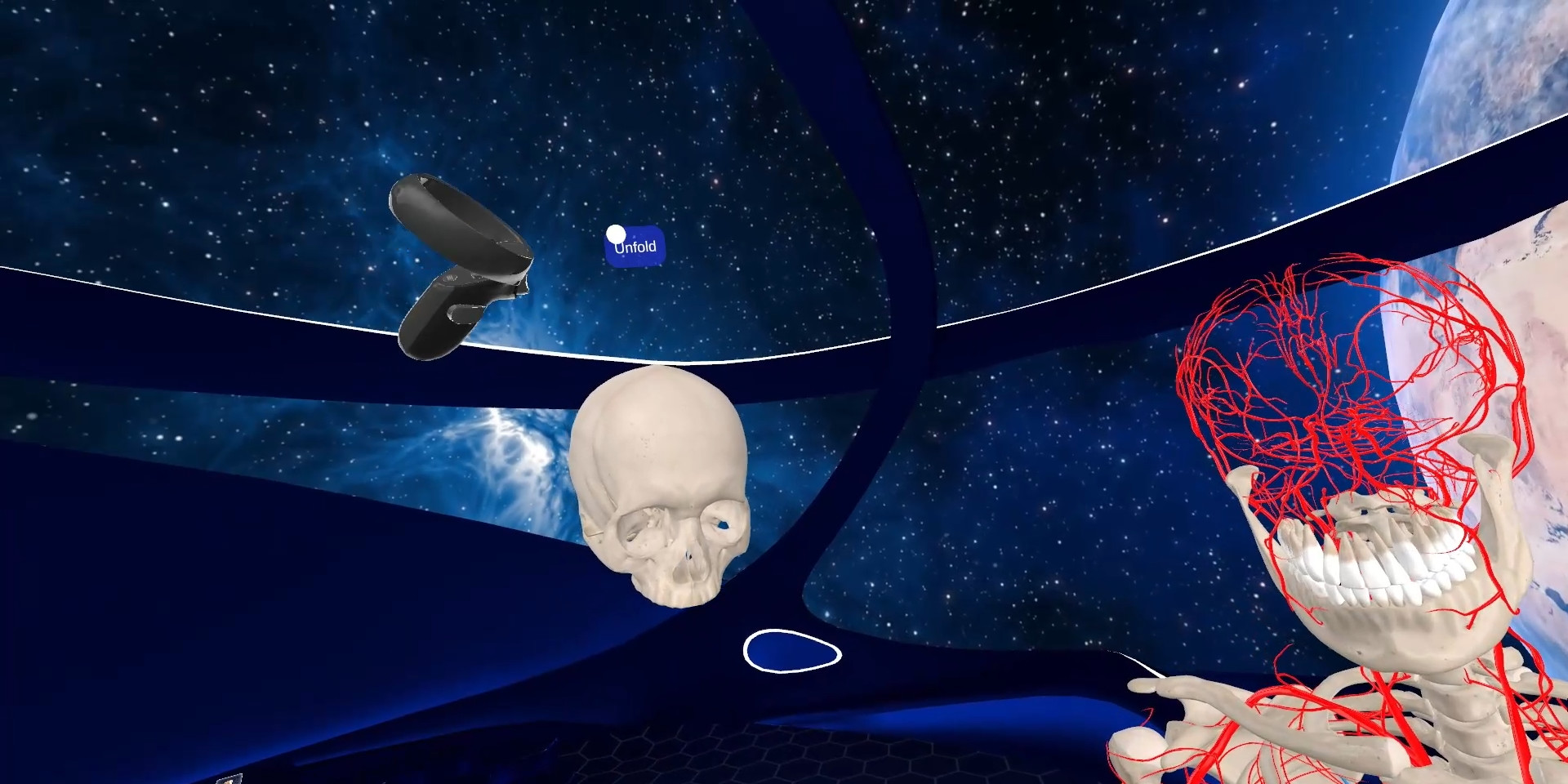 Elementary Anatomy: With Story Mode