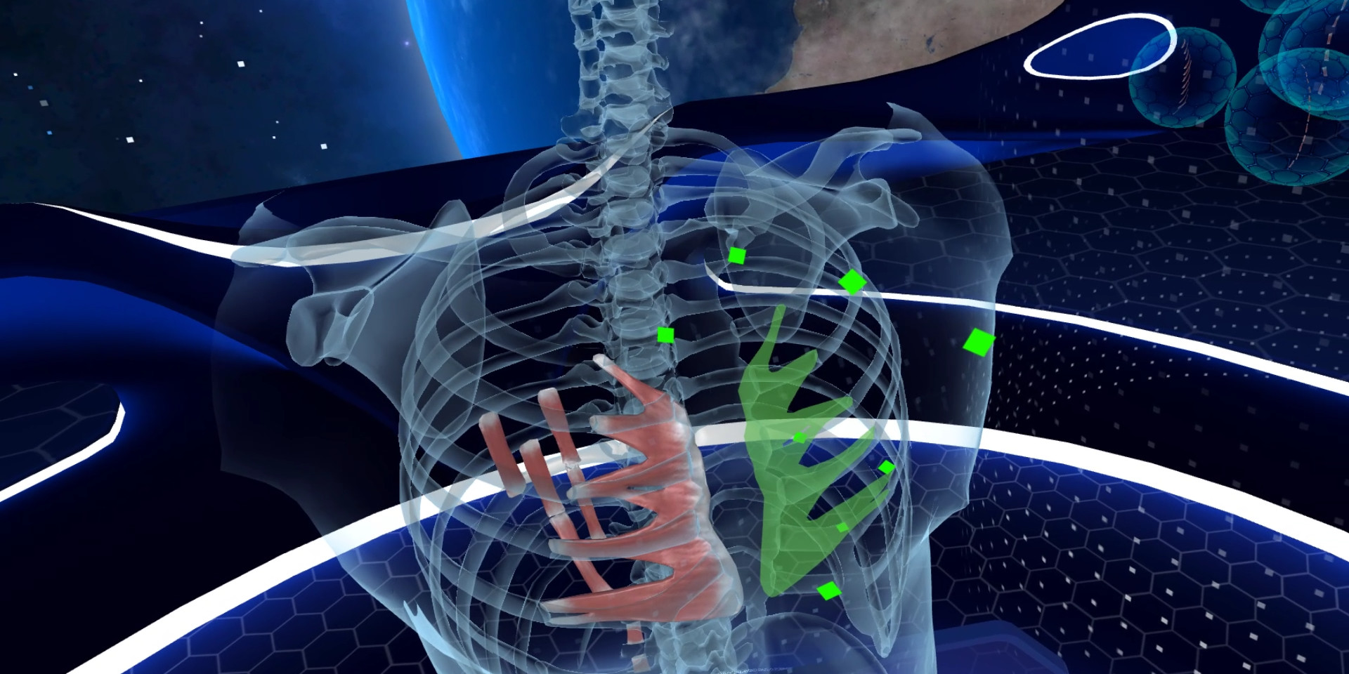 Elementary Anatomy: With Story Mode