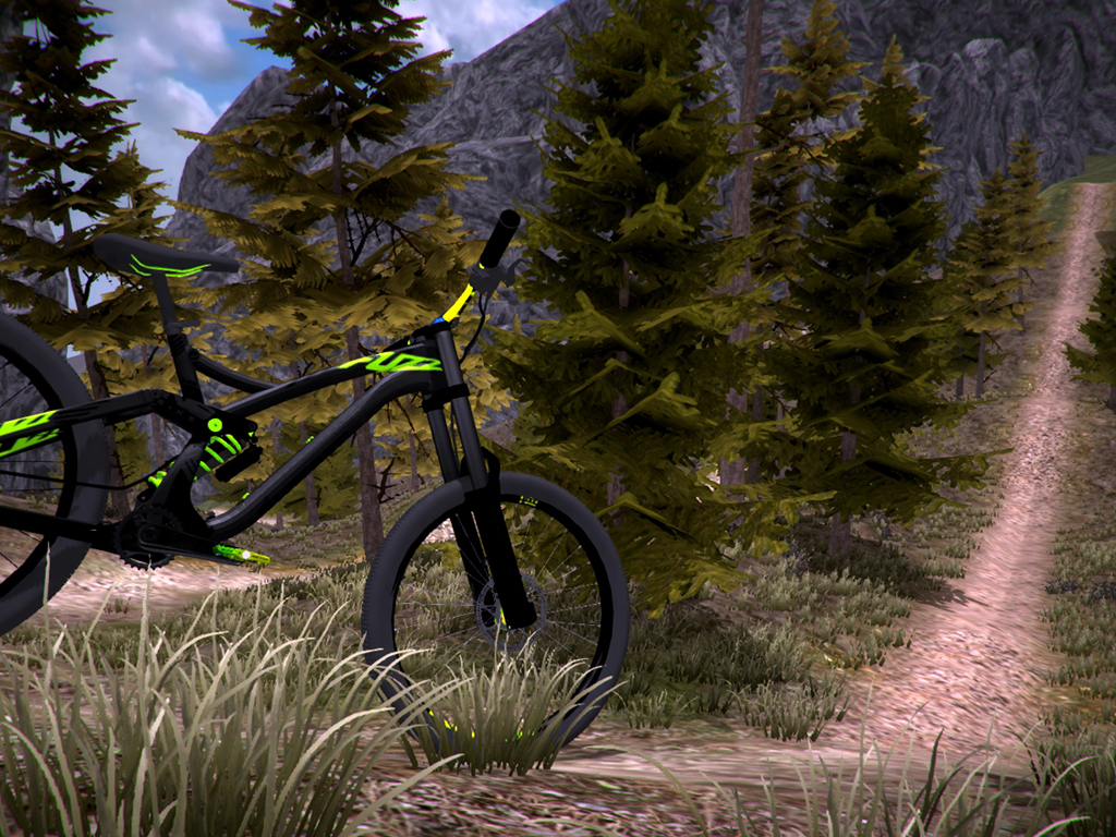 MTB Downhill Simulator