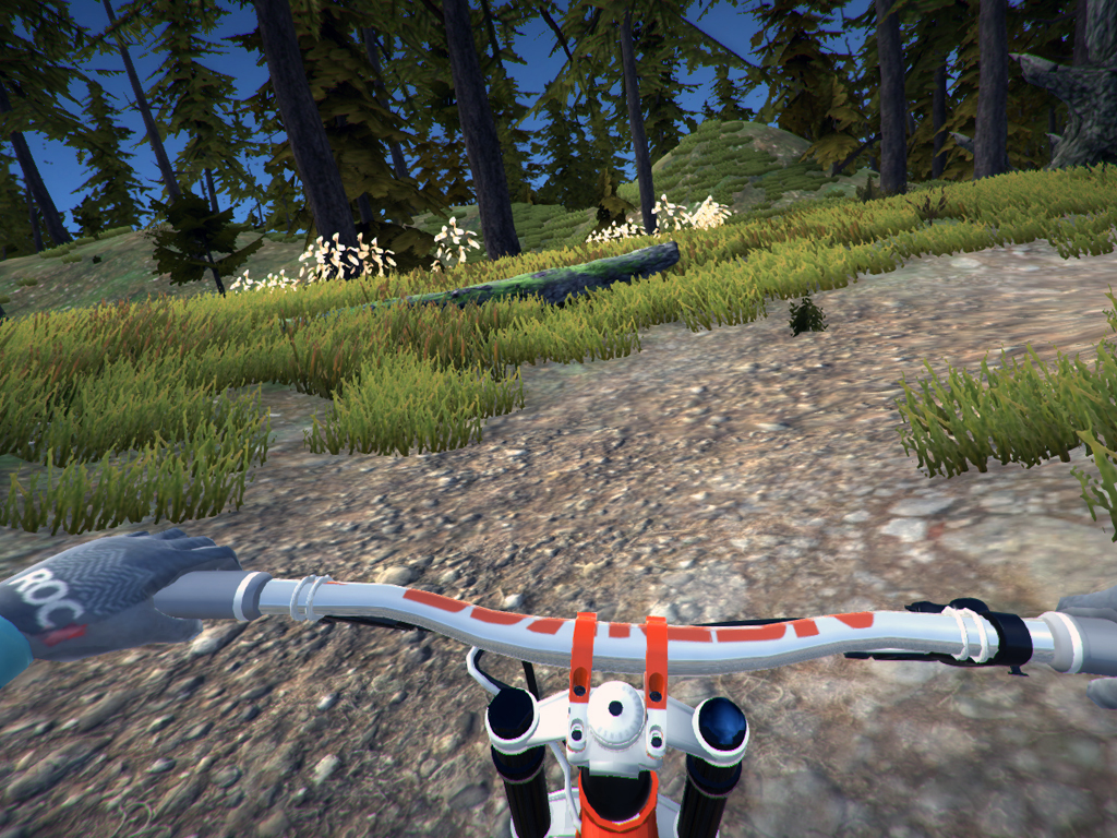 MTB Downhill Simulator