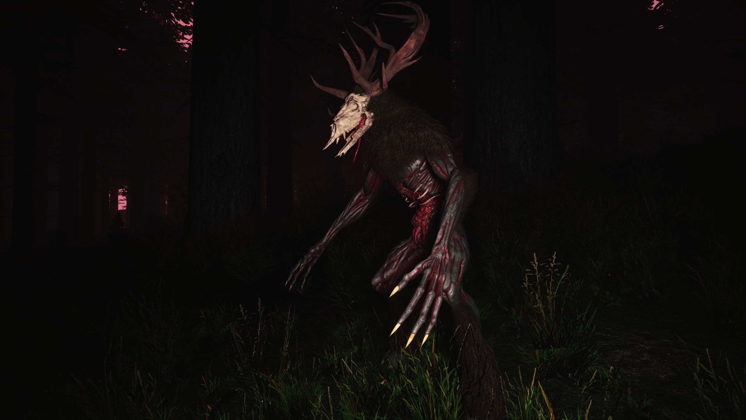 Mycelium: The Silent Contract