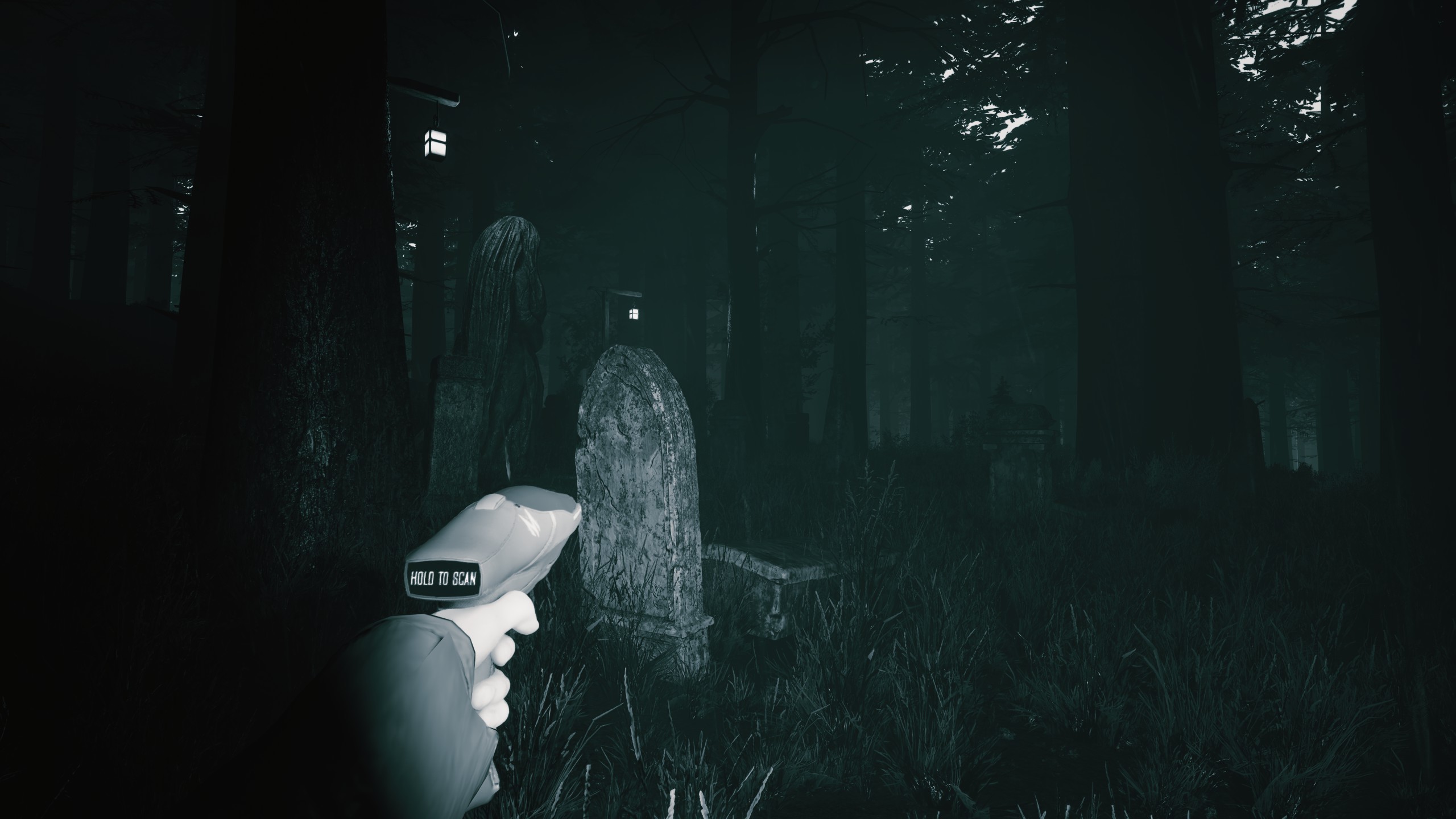 Mycelium: The Silent Contract