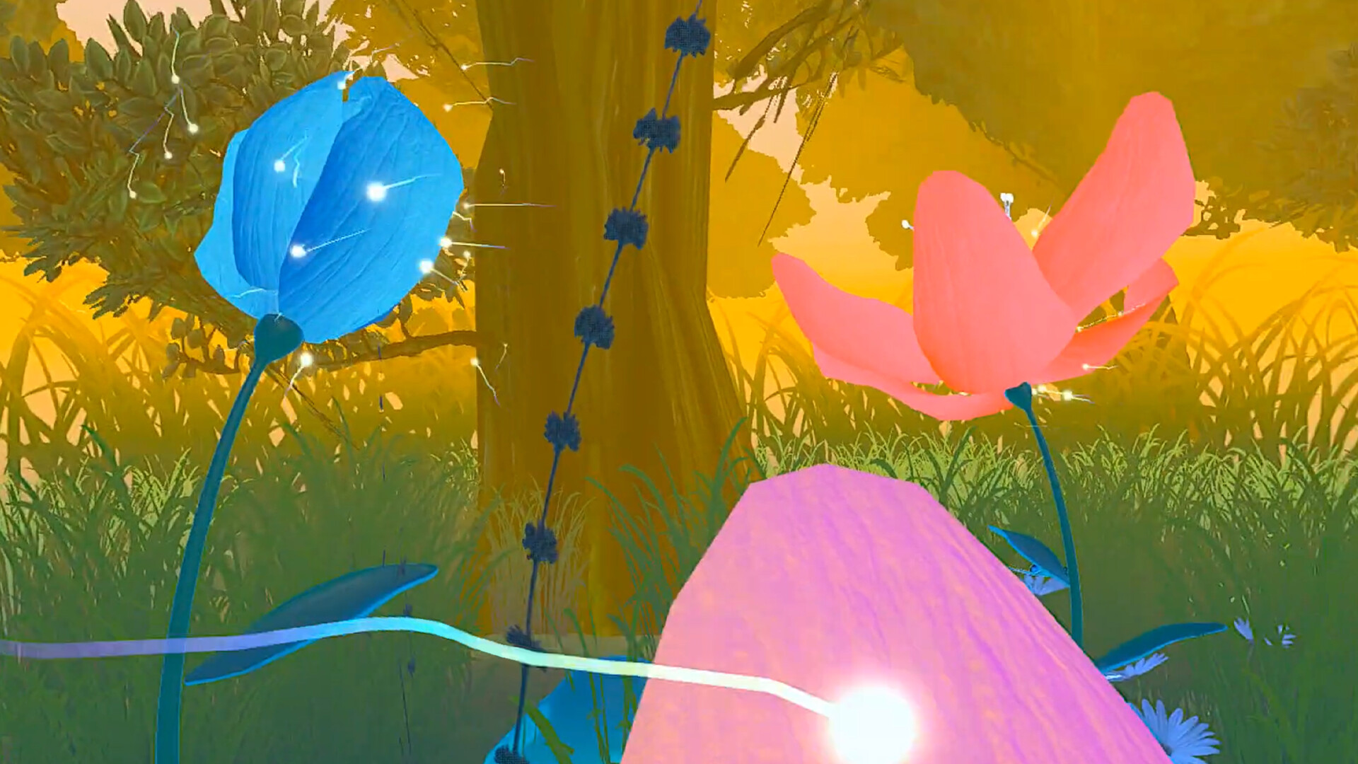 Infinite Bloom