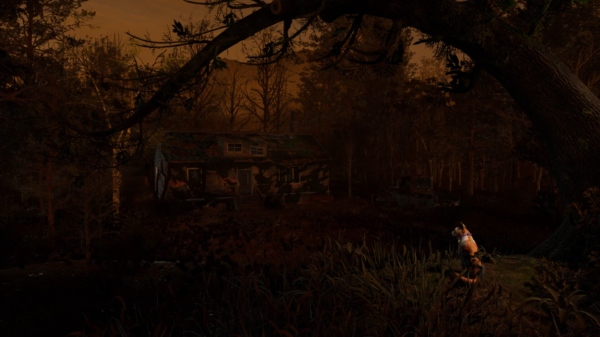 The House of Hamelin