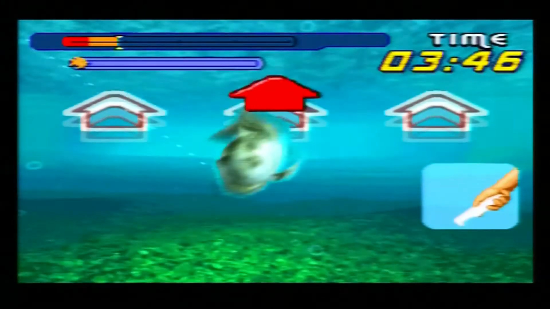 Catch Fish