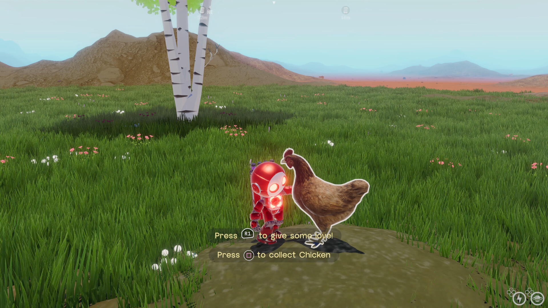 Blossom: The Seed of Life