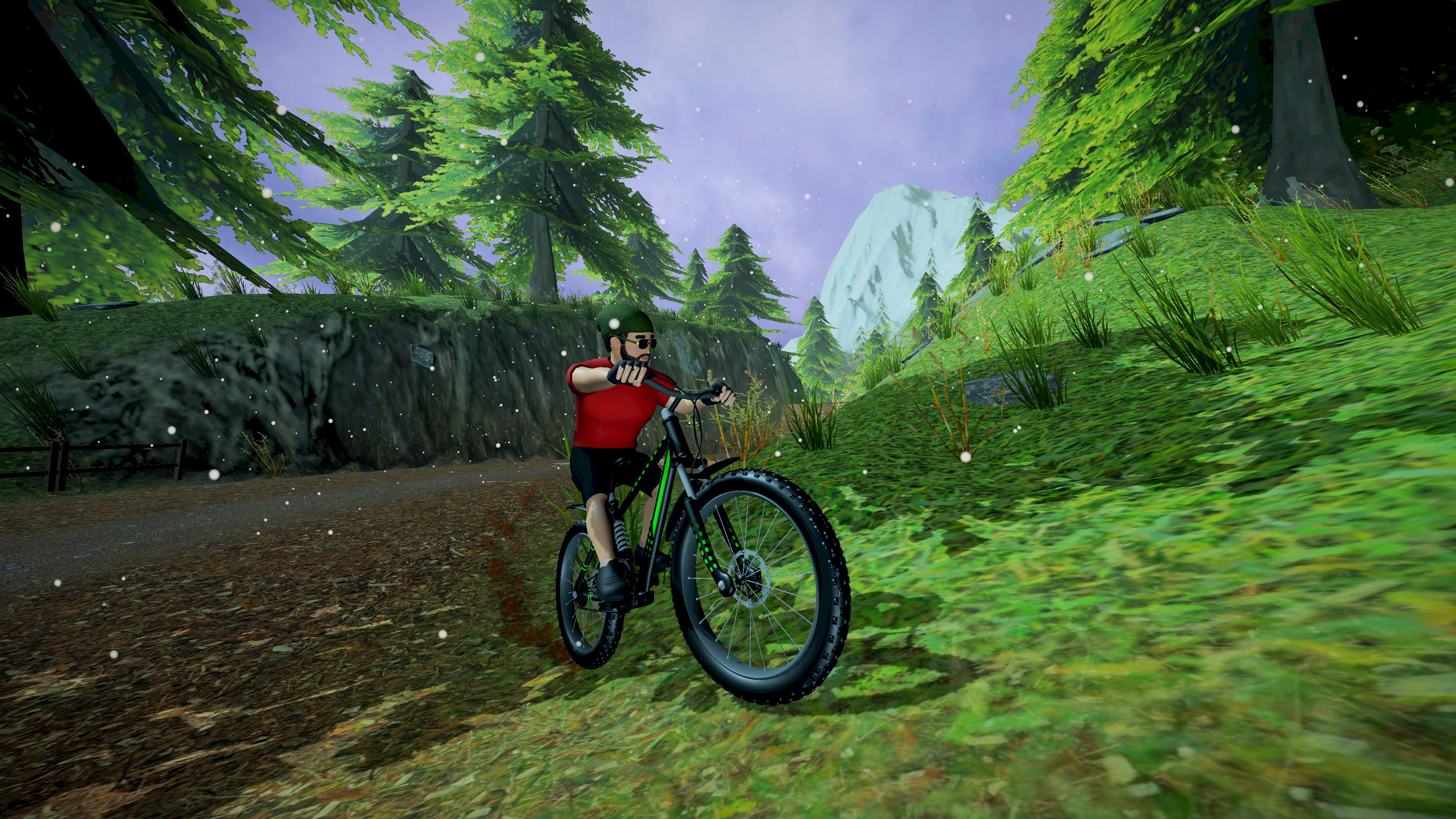 Bike Runner