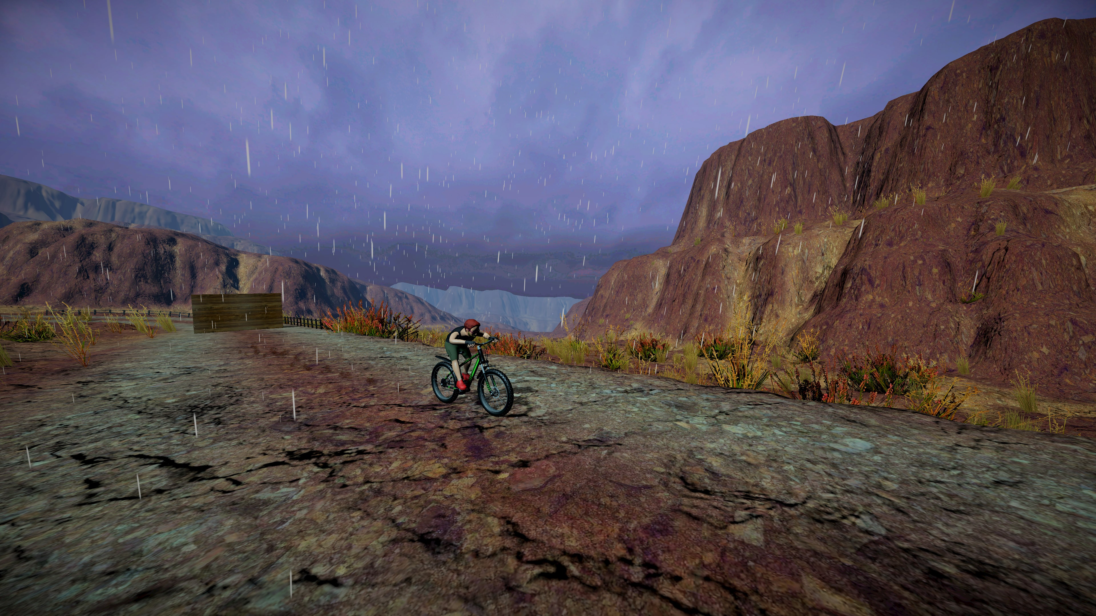 Bike Runner