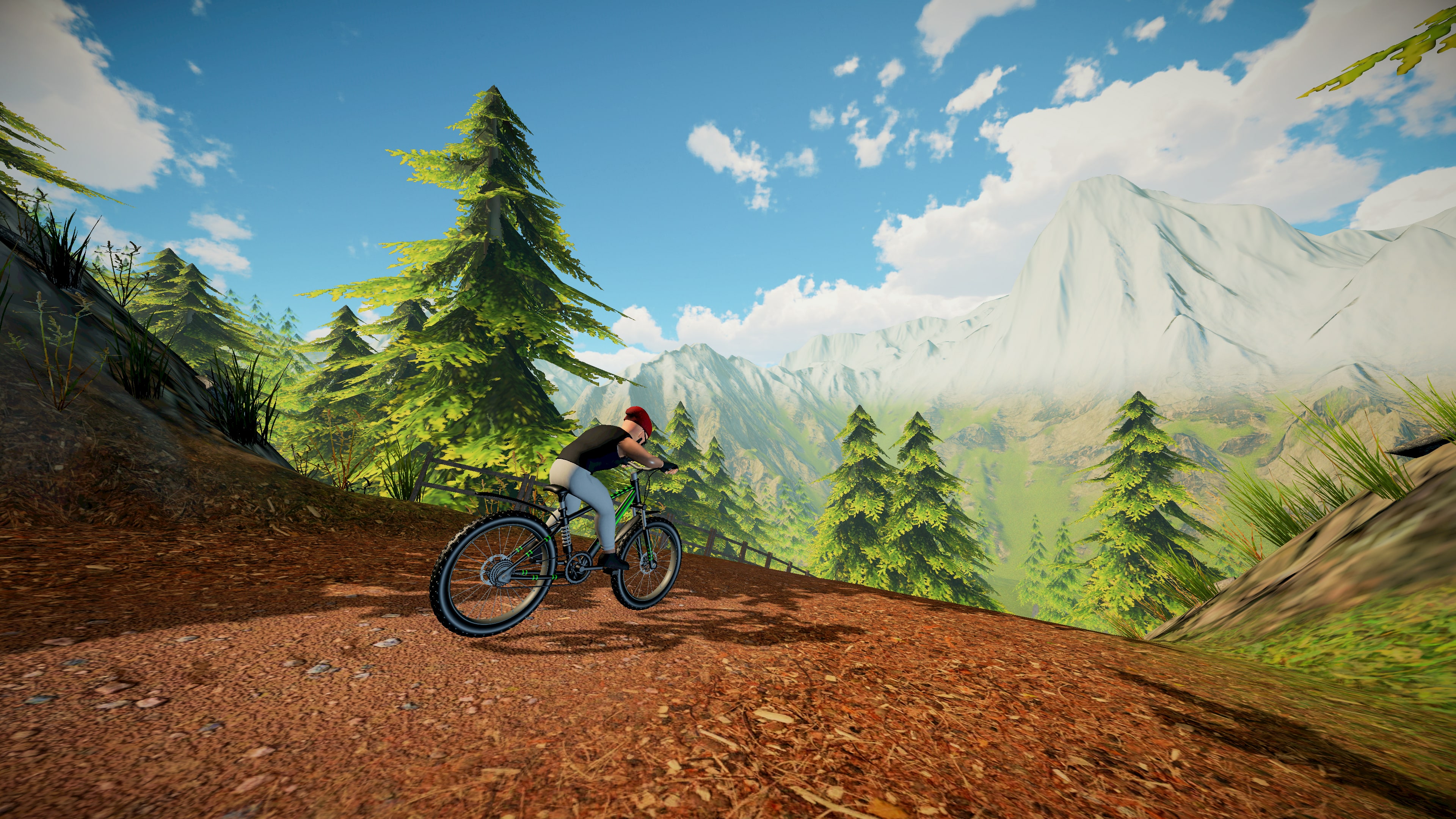 Bike Runner