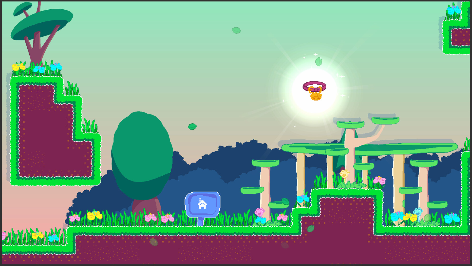 Jenny’s Adventures