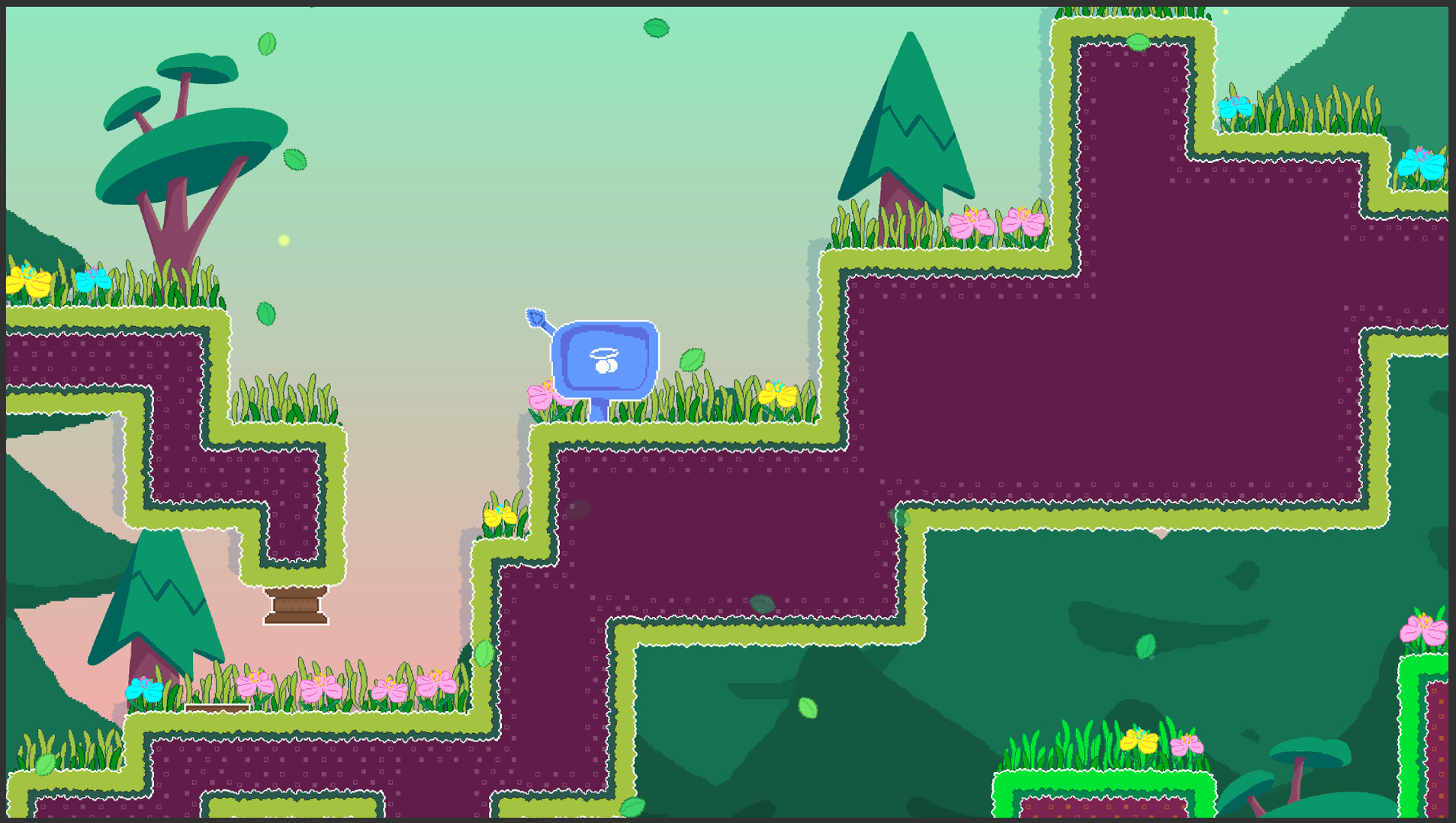 Jenny’s Adventures