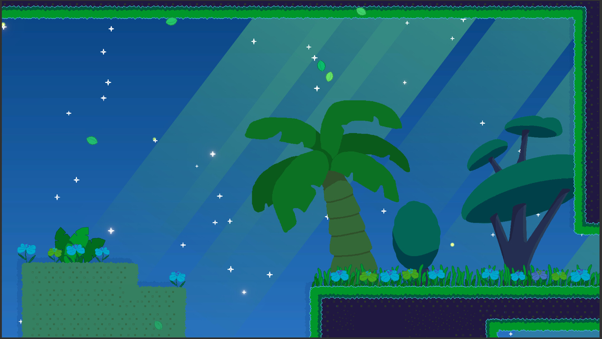 Jenny’s Adventures