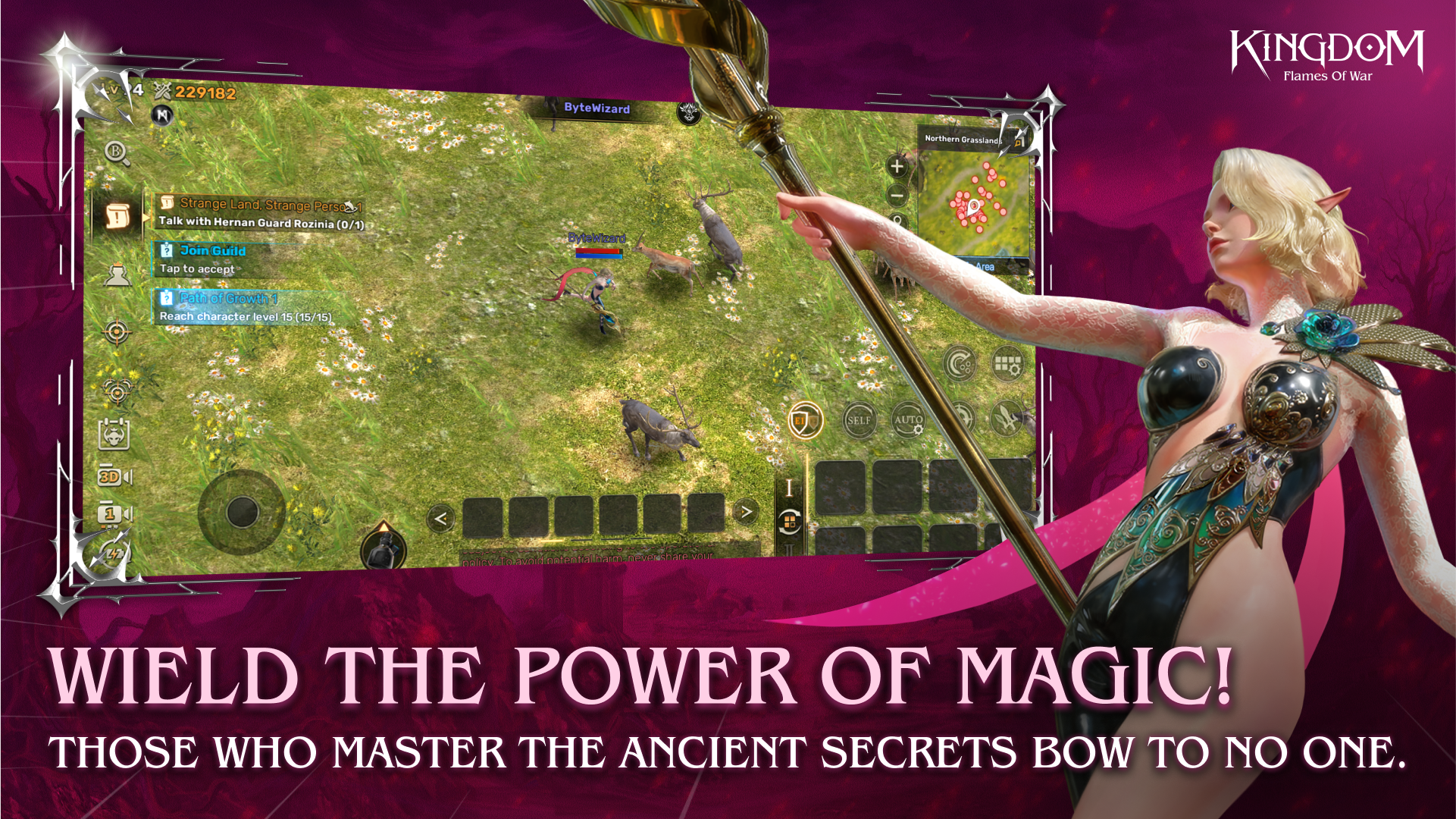 Kingdom: Flames of War