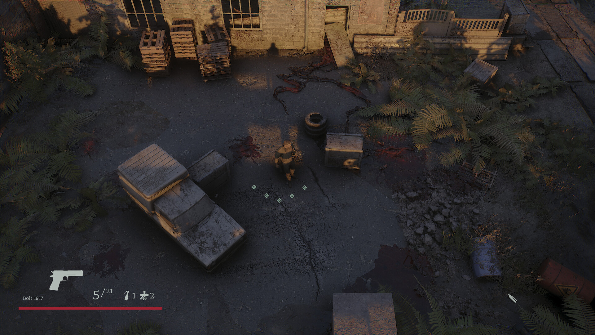 Where the Forest Ends