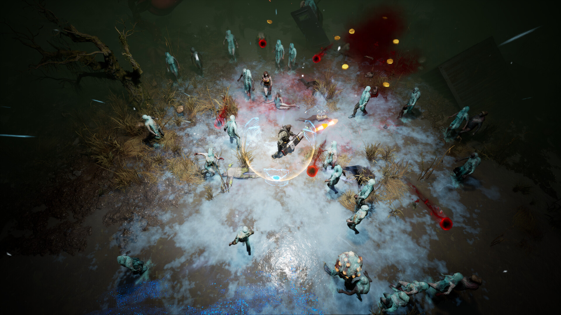 Reincarnation Insurance Program