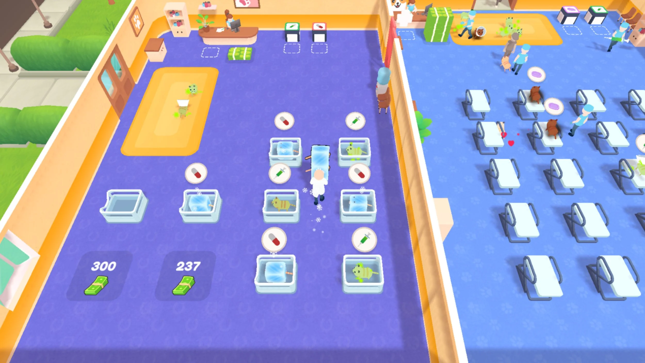 Cat Doctor