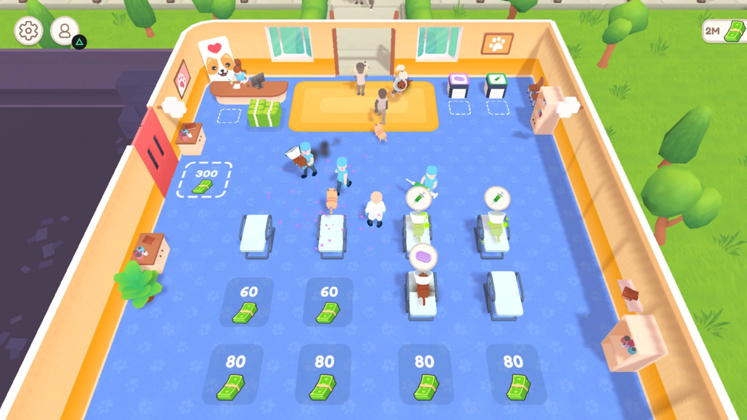 Cat Doctor