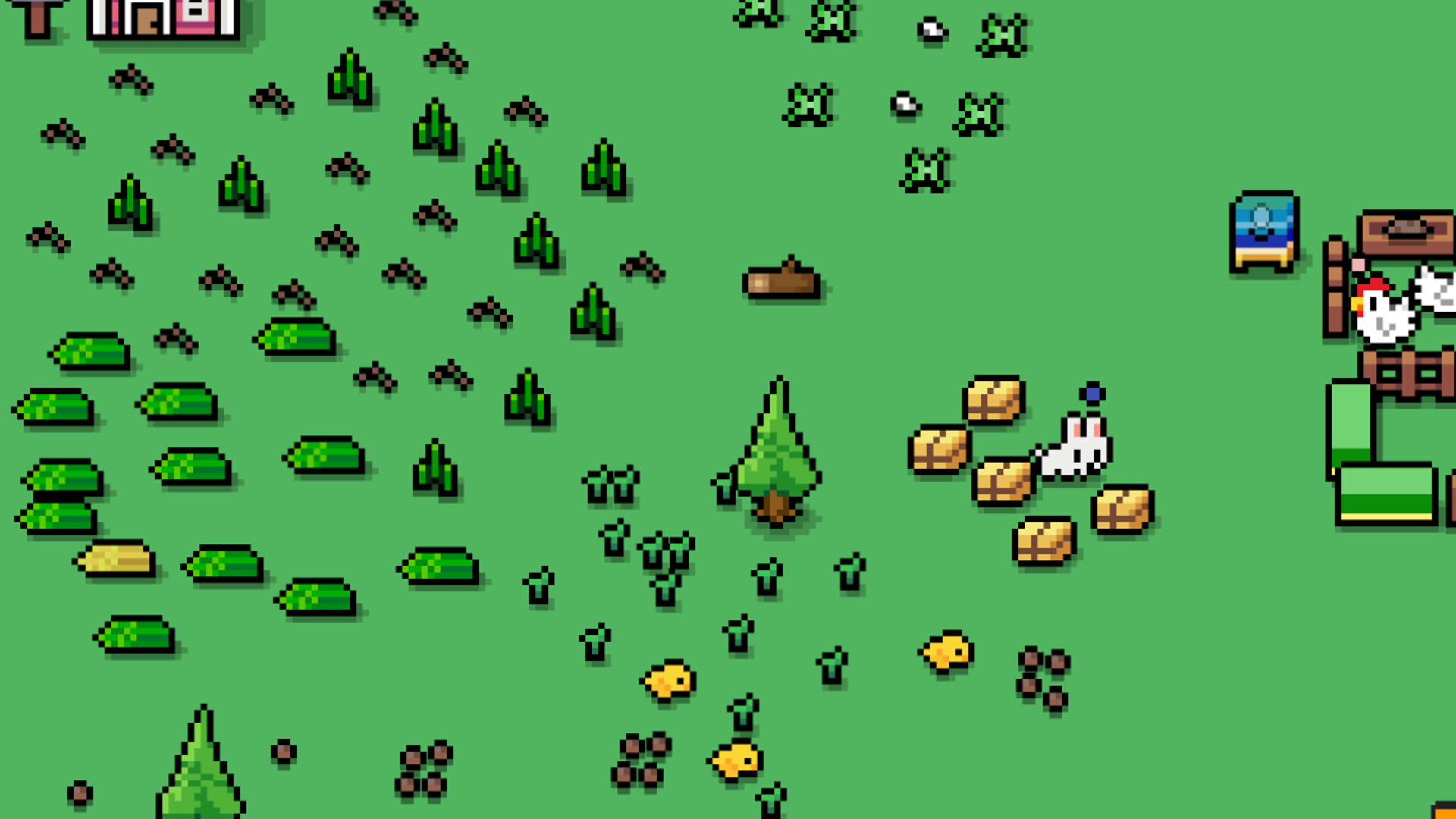 Sheep Island