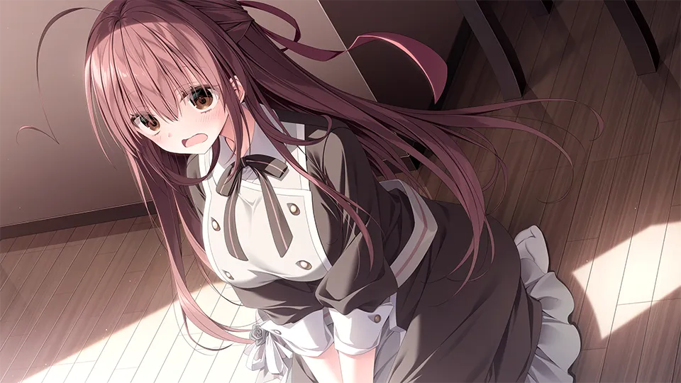 Sakura no Uta Re:Graphic – Append Disc