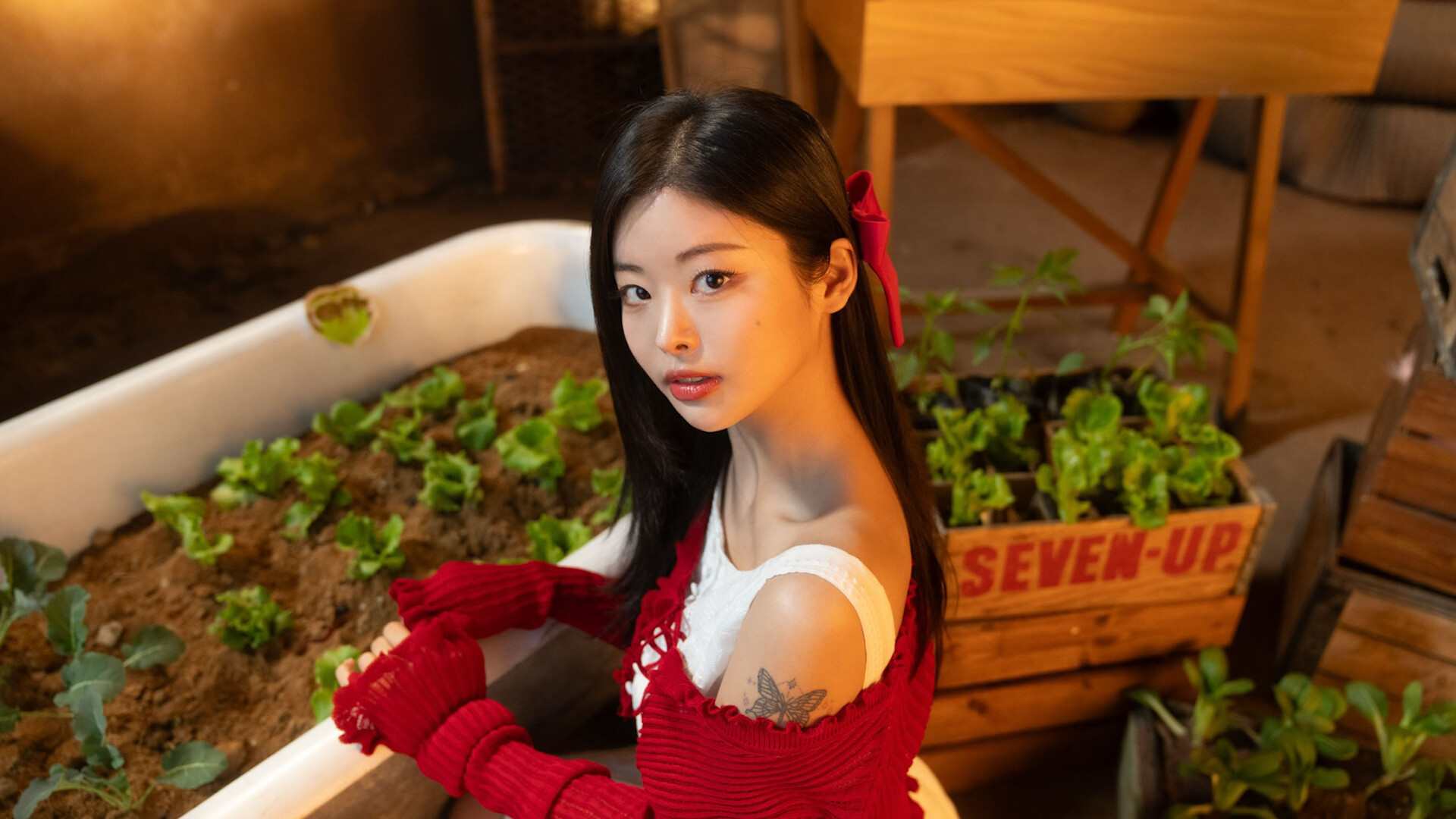 Beauties and the Stranded