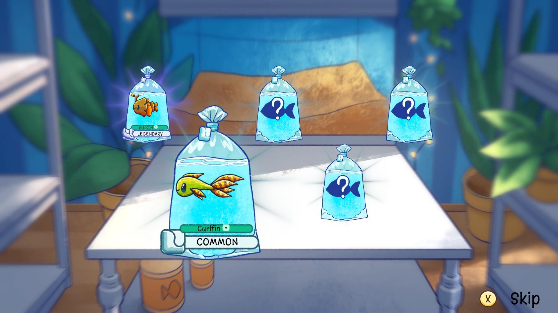 My Cozy Aquarium