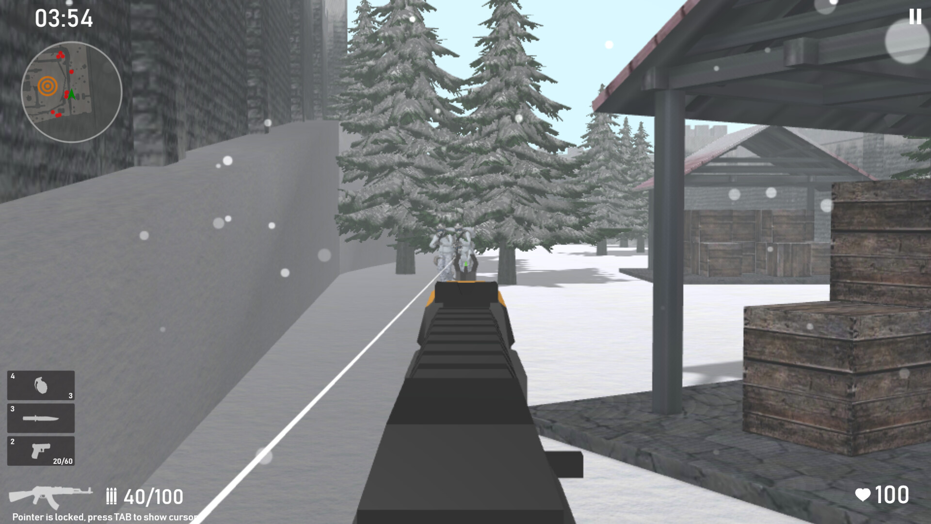 Winter Mercenary