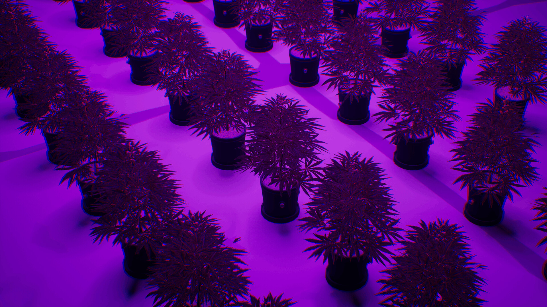 WeedEx: Drug Express Delivery