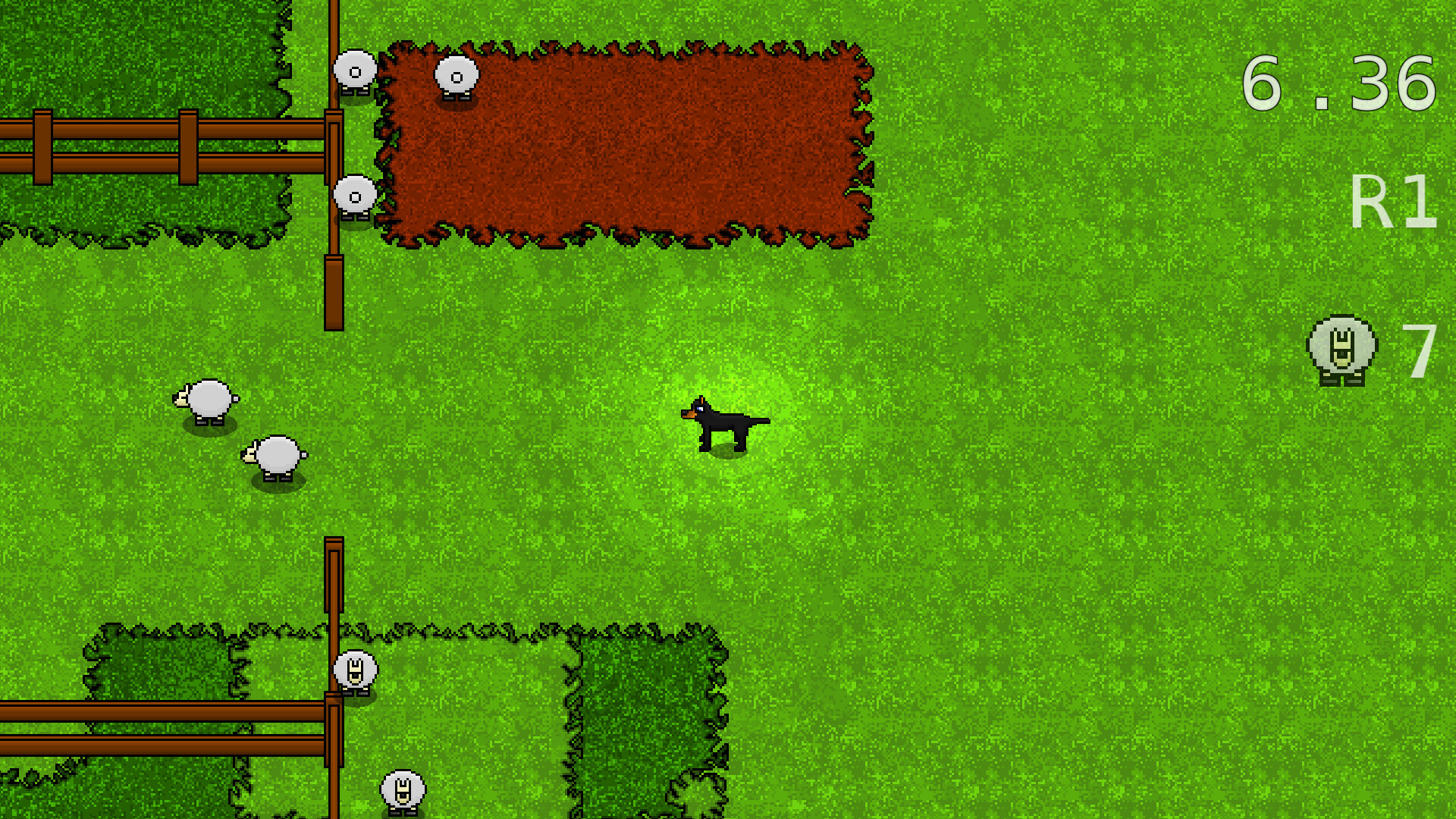 Bush Dog