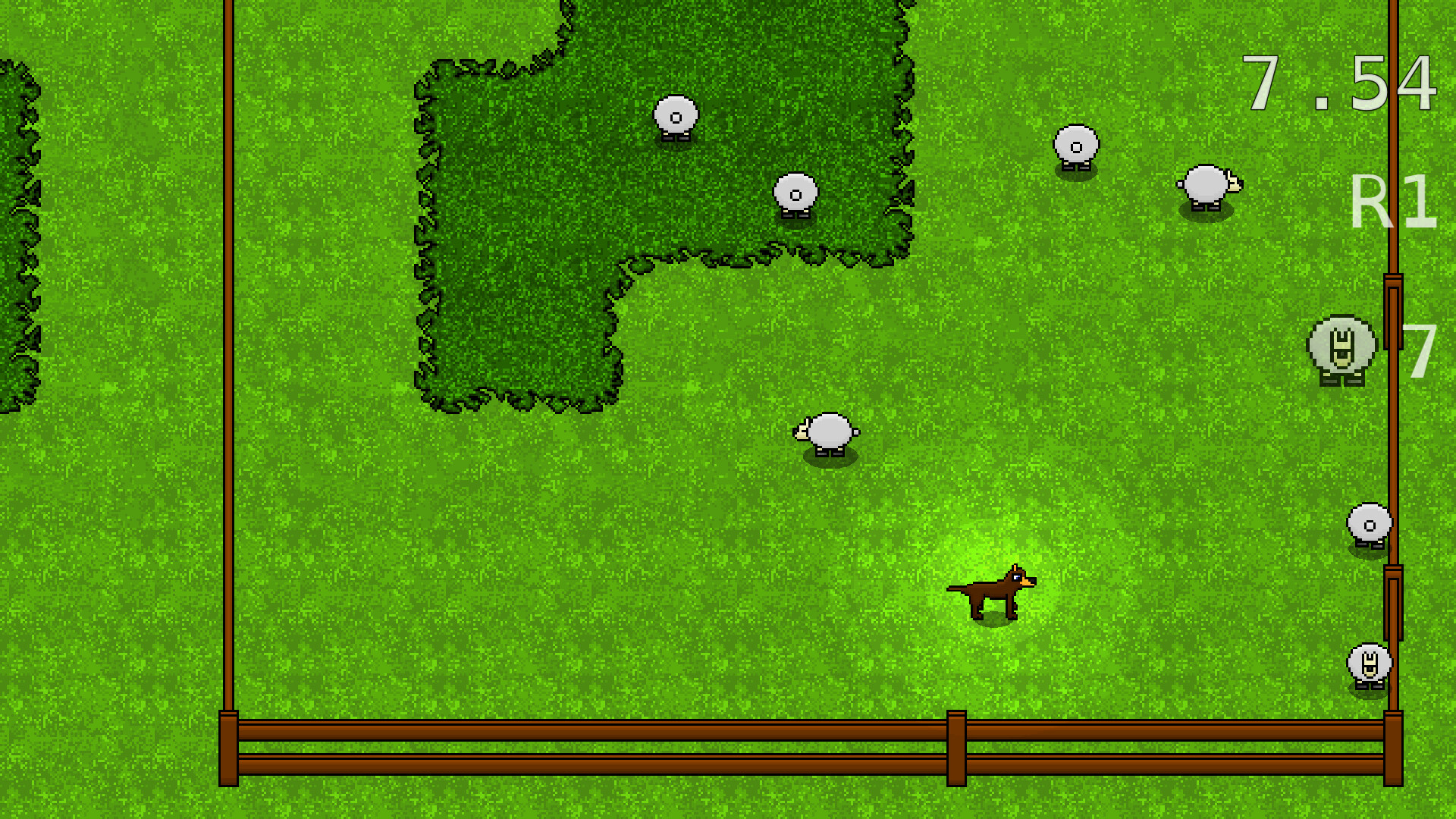 Bush Dog