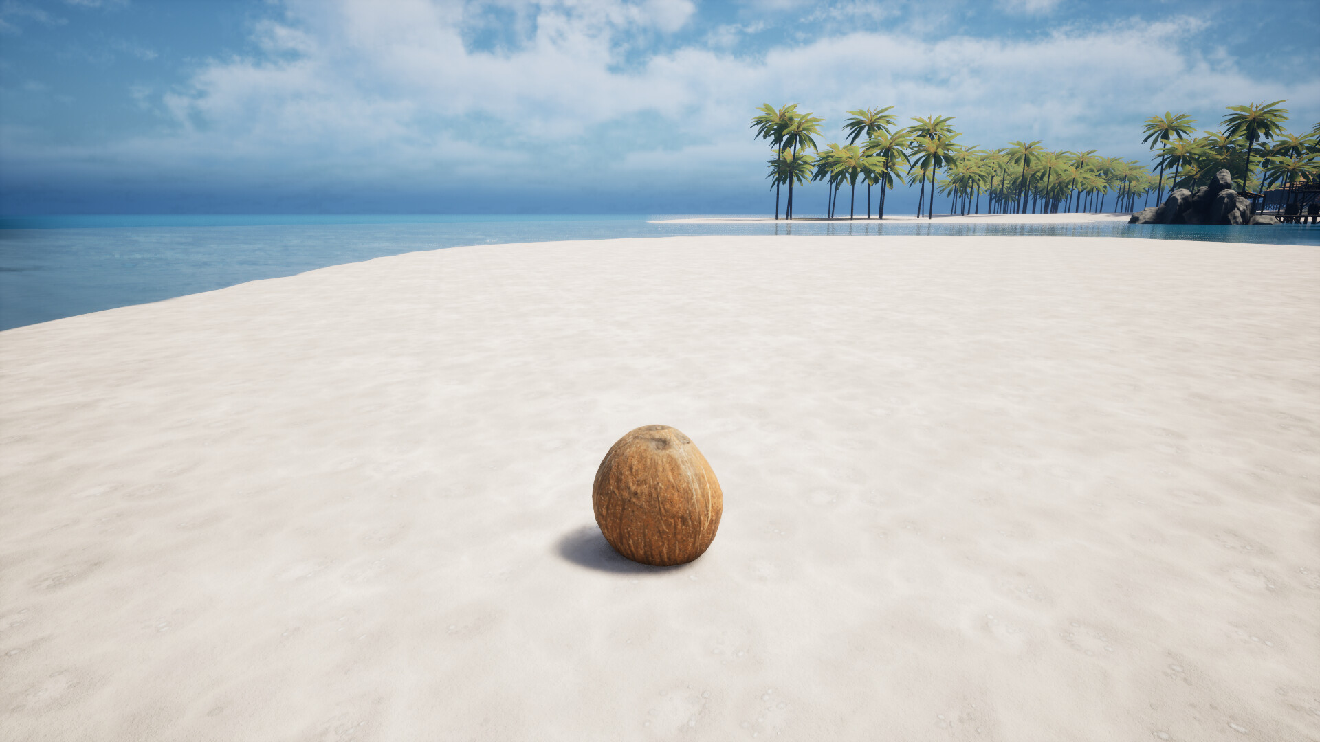 Coconut Simulator 2