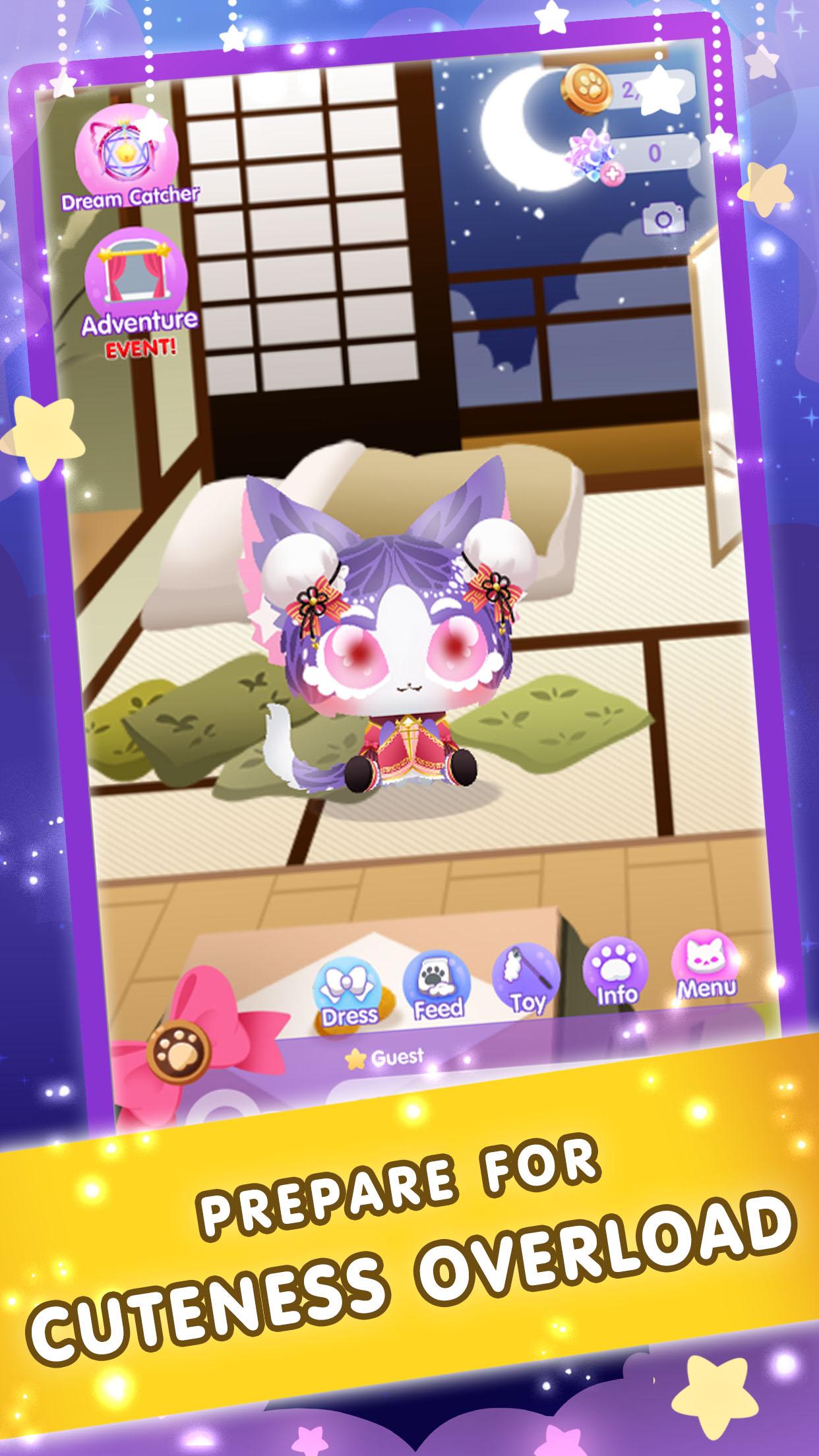 Dream Cat Paradise
