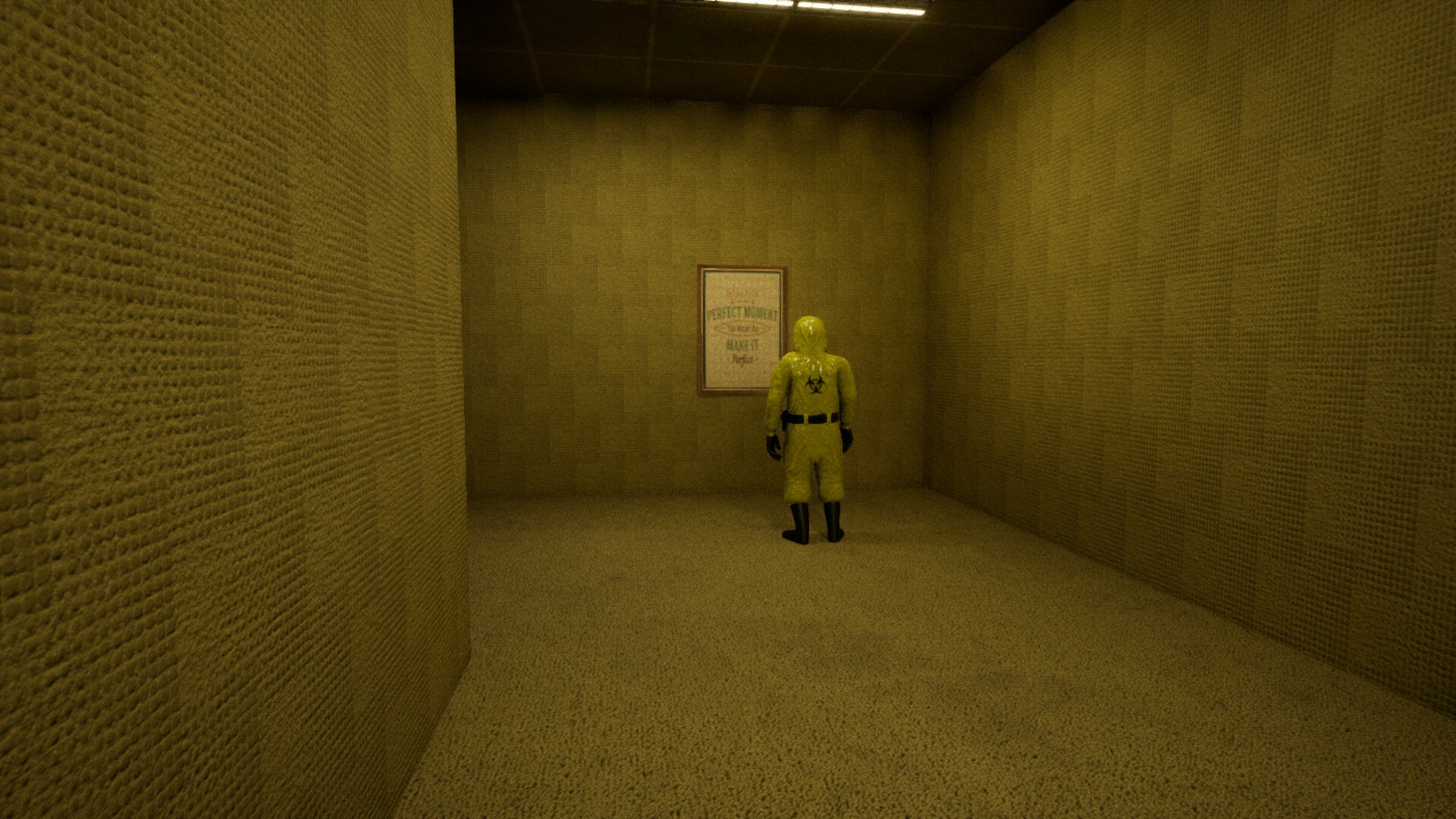 Backrooms Anomaly