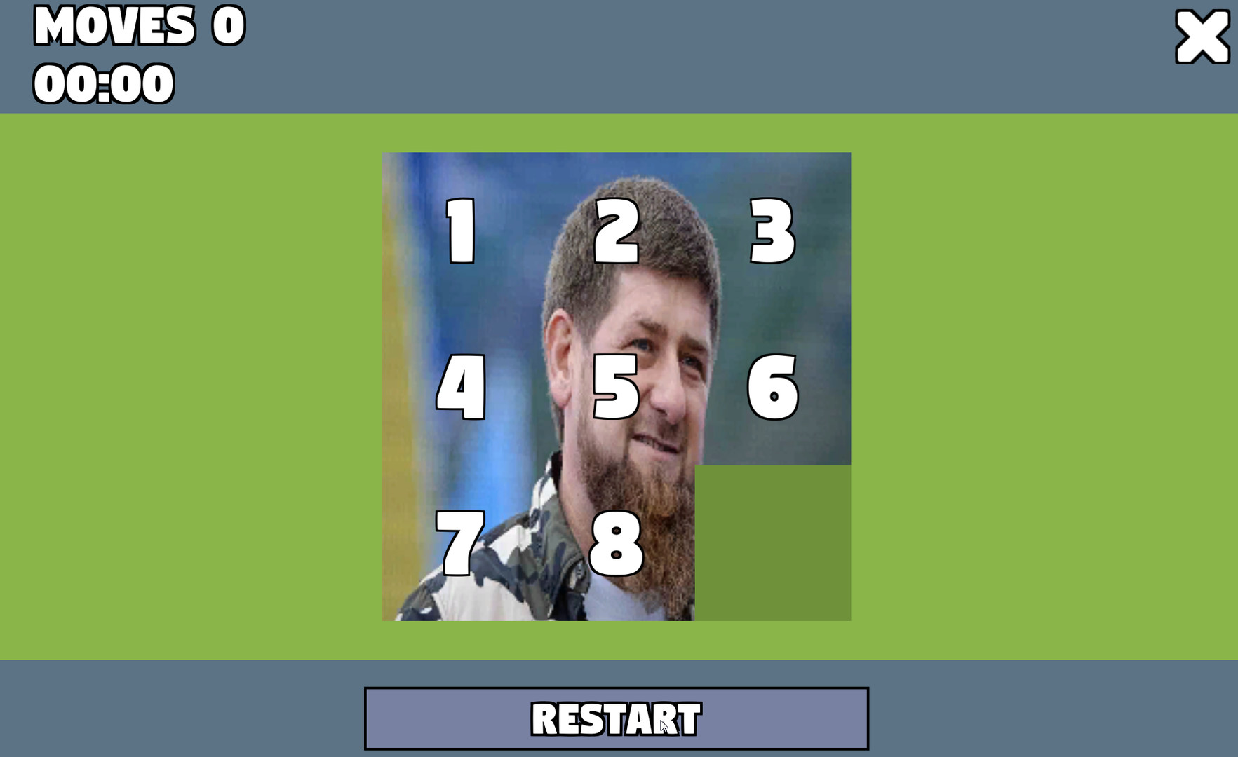 Political Puzzle