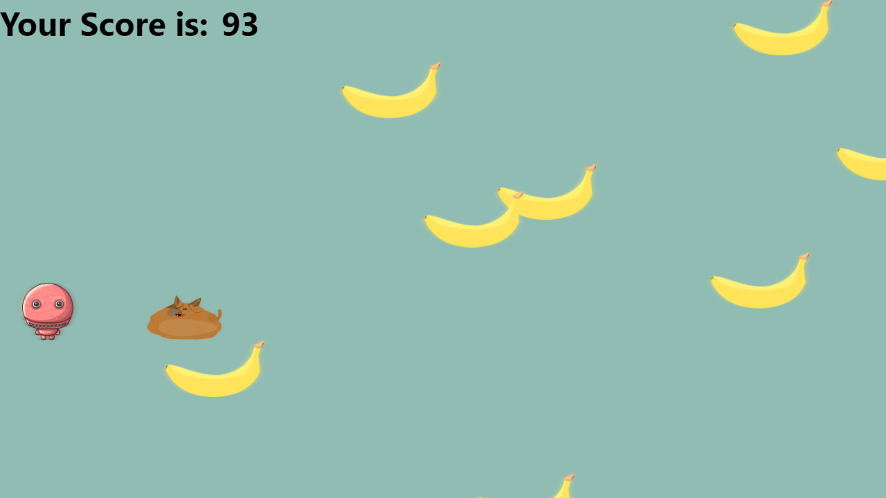 Cat doesn’t like banana