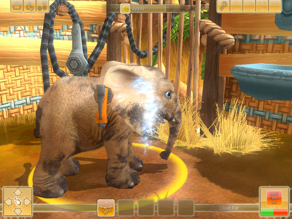 Wildlife Camp