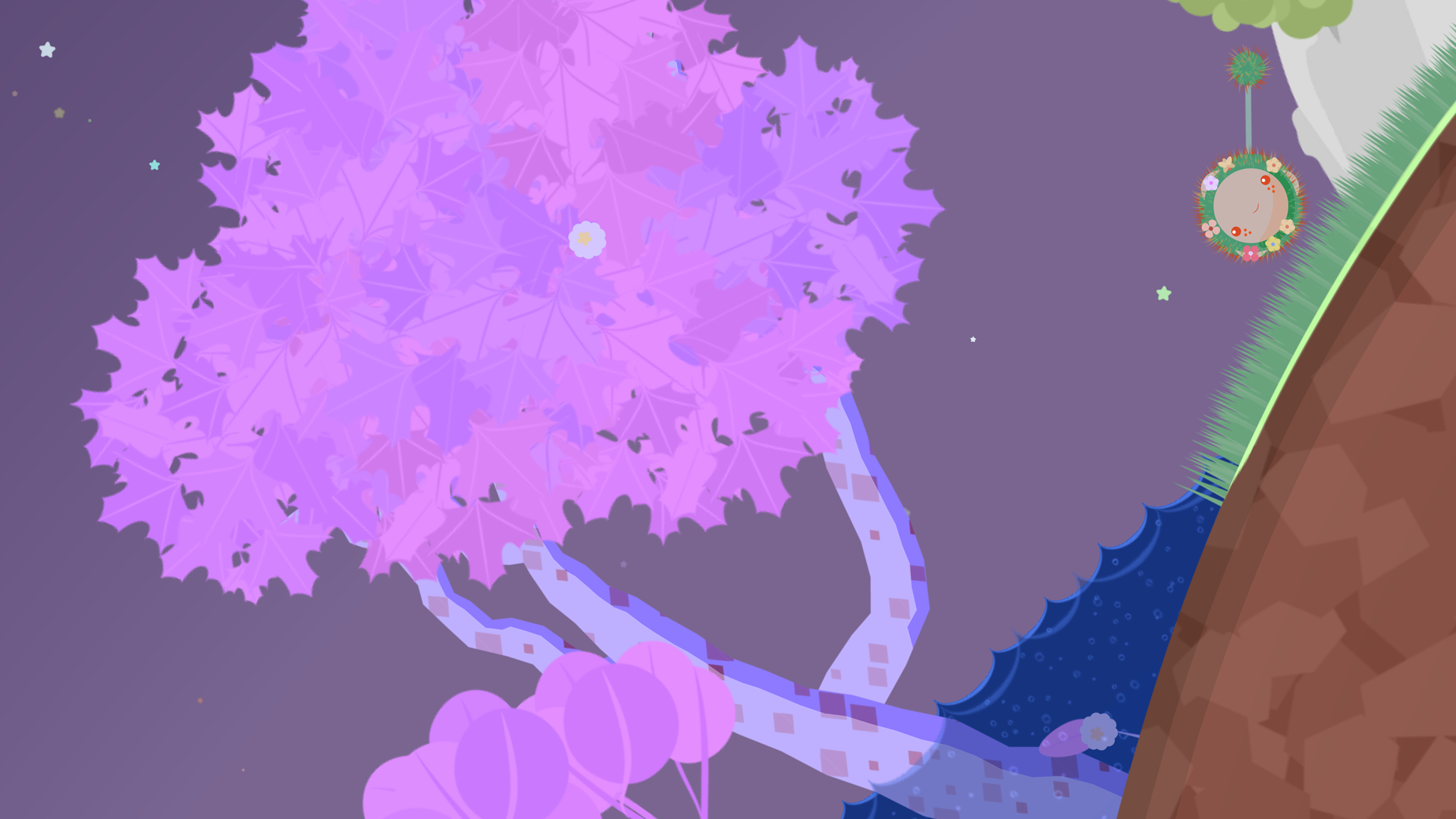 Shu’s Garden